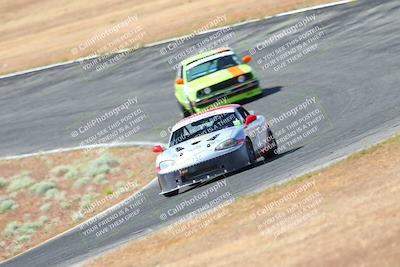media/May-06-2023-Lucky Dog Racing (Sat) [[8f2256f436]]/Turn 2 10a/